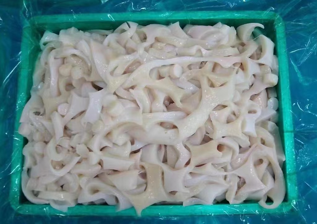 squid meat (5)